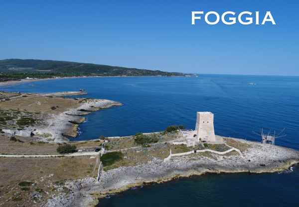 Corsi Docenti a Foggia - formazione online per insegnanti